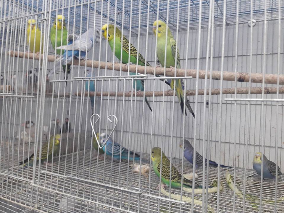 בדרך לרמת הגולן חוויה בלתי נשכחת בפארוט יהודה .